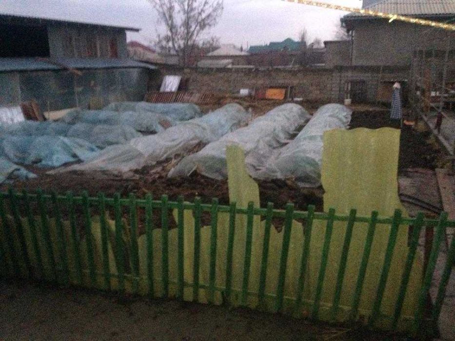 Калифорнийские черви