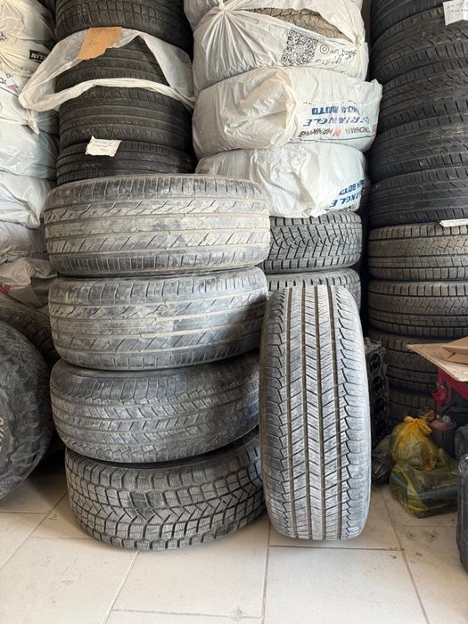 шины summer kormoran