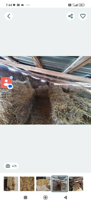 Vând baloți de fan , ținuți la adăpost ,uscați