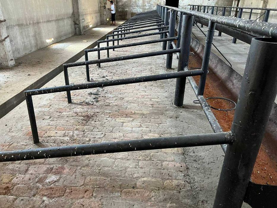 Животноводческая ферма (17.2 га) қорамол фермаси (17.2 ga)