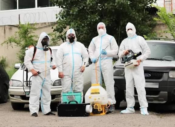 Дезинфекция Дезинсекция Деротизация Dezinfeksiya