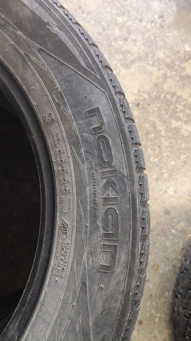 Две шины нокиан липучка