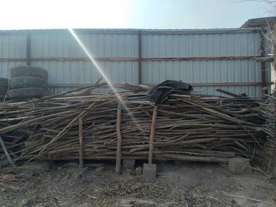 Qadalar (otinlar) satiladi, manzil:No'kis, Kebir awil 36 marshurutk-,