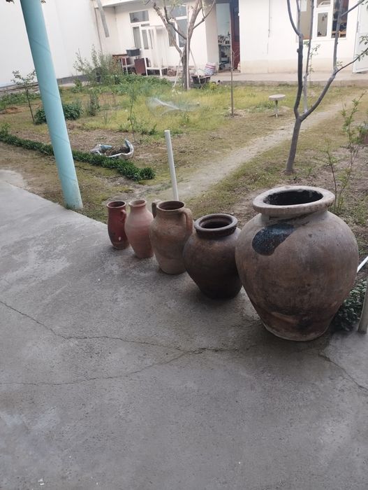 Кувшини  (Ko'zalar)