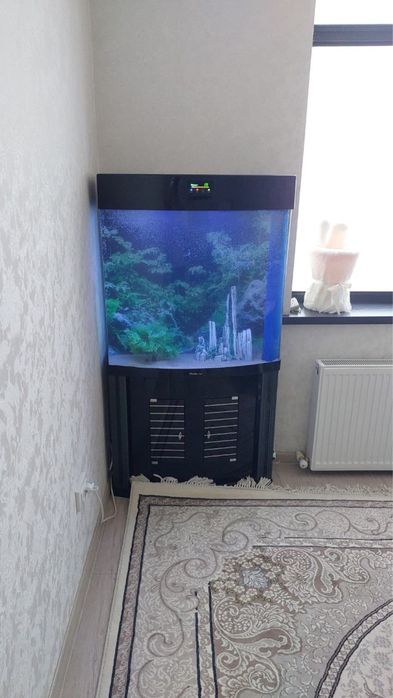 Professionall akvarium tozalash xizmati