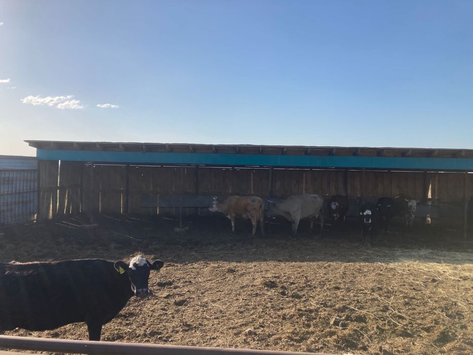 Крестьянское Хозяйство продам