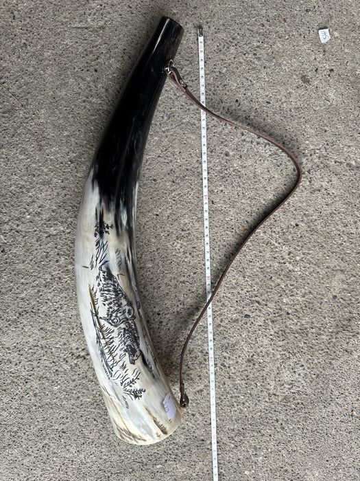 Coarne Lupta Viking , Coarne de baut , corn dr taur