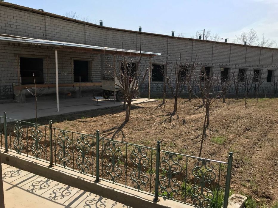 Уй Сотилади! Молхонаси билан!