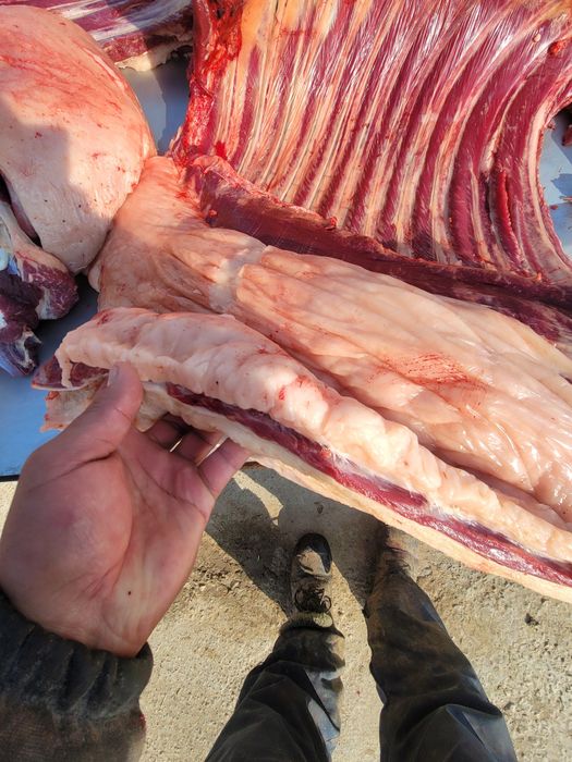 Жыныстық қатынассыз қалай өмір сүруге болады