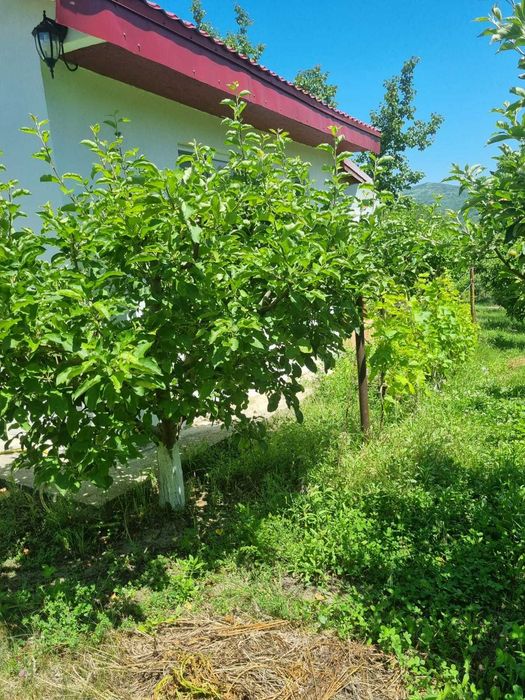 Casa P+M, direct proprietar, teren 2093 mp