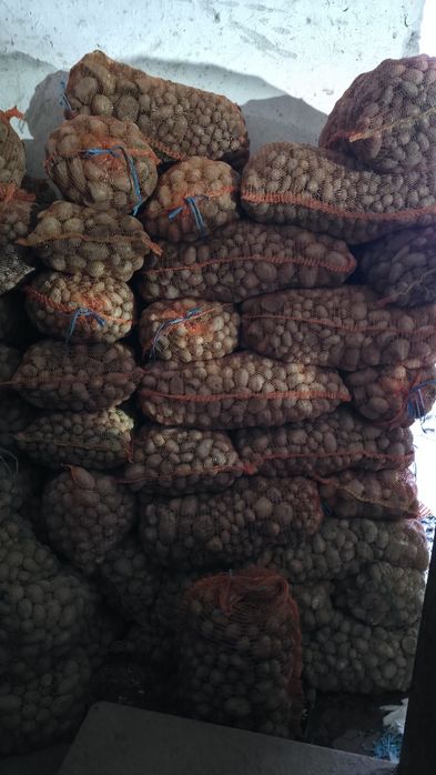 Cartofi pentru animale