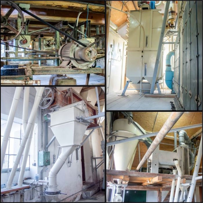 Vand moara faina grau