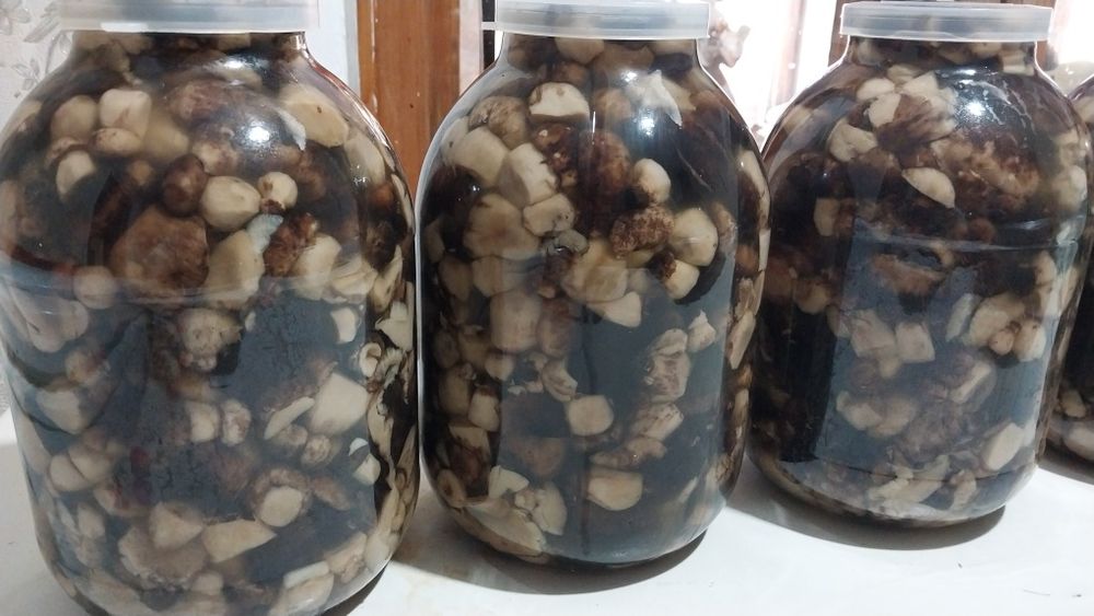 Грибы маринованные (валуи)