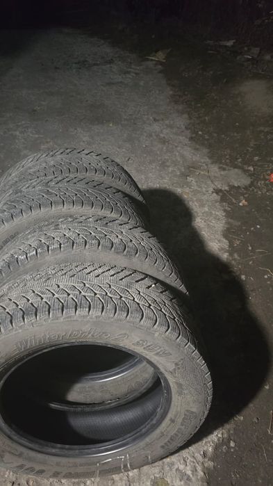 Шины зимние cardiant