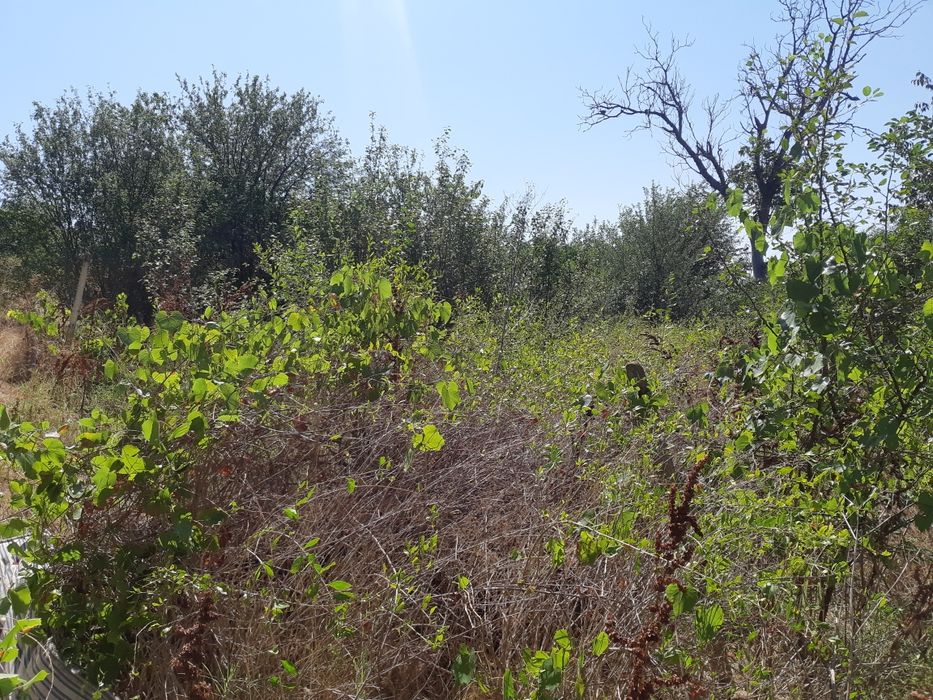 Продава се Къща в Стара Загора, Самара 1 - 60 кв.м за 58 €/кв.м - Снимка #17