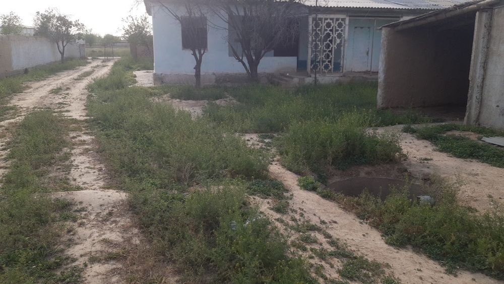 Uy katej dala hovli uzbekcha