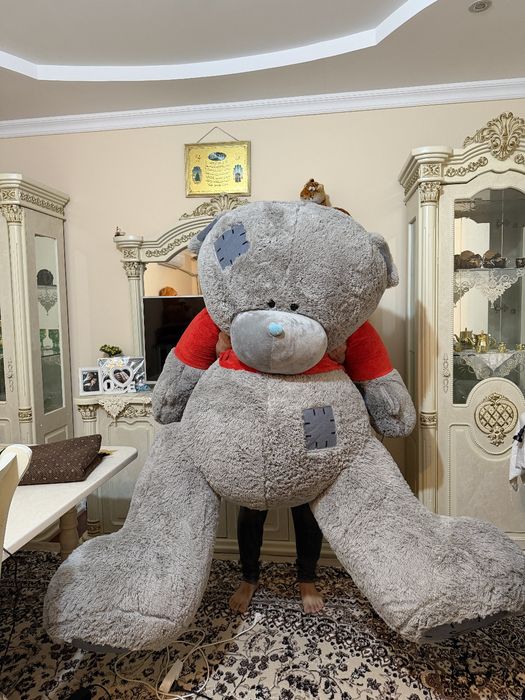 Teddy sotiladi yengi
