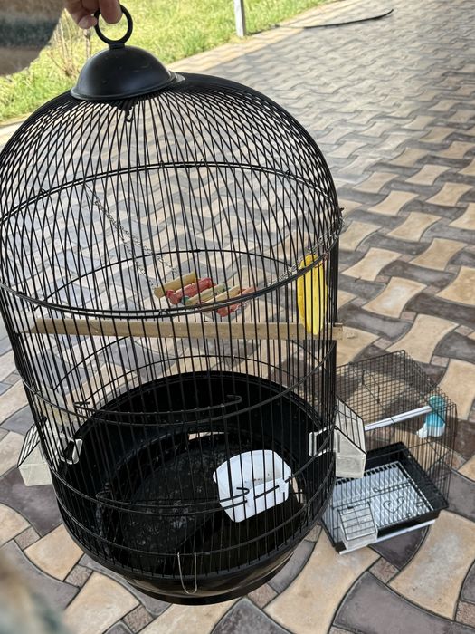 Попугайдың сеткасы сатылады