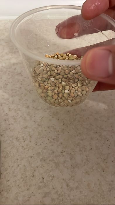 Зелёная гречка — 100% натуральная!