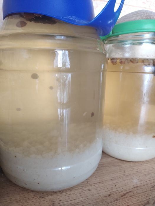 Продам Морской Рис