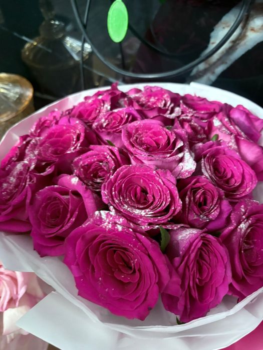 Красивые цветы розы