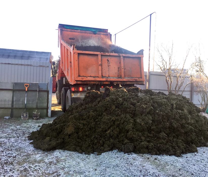 БЕПУЛ Сигир Ножаси Гонг НАВОЗ