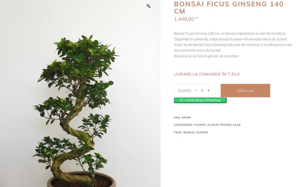 Pom decorativ "Bonsai cu vrăbii" creație de designer