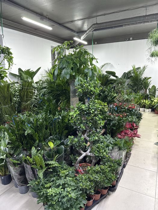 Продам готовый бизнес