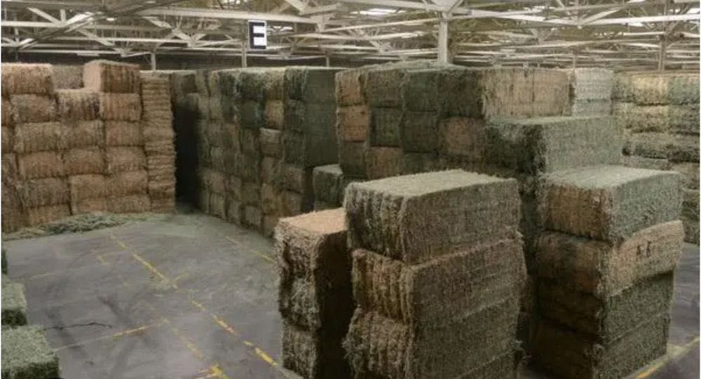 Люцерна големи бали