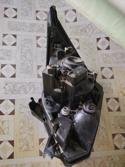 Koblt farasi sotiladi