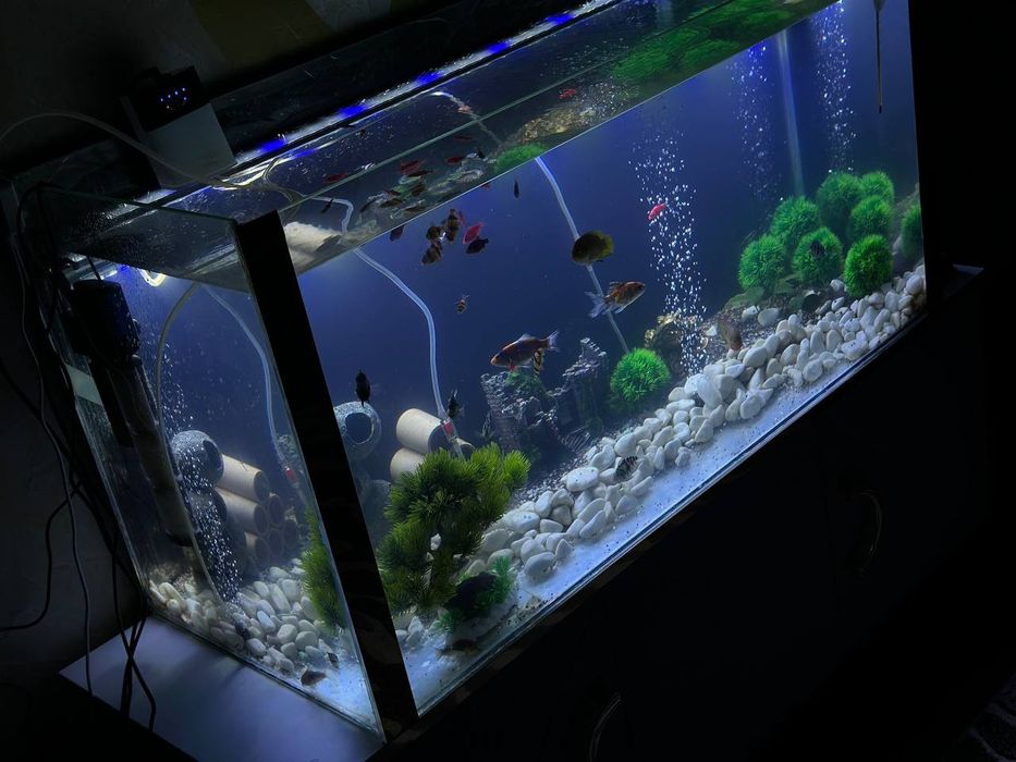 Продам аквариум 250 литров