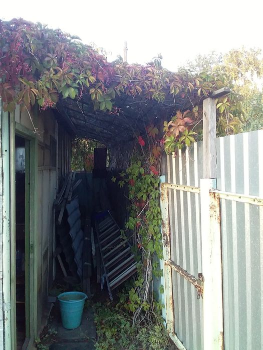 Продам дачу в обществе уралочка