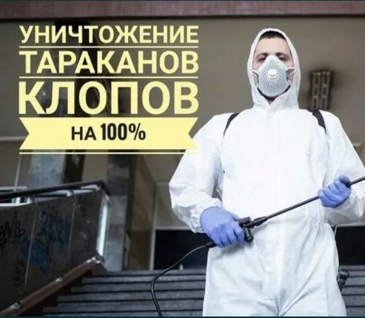 Дезинфекция с гарантией от 5000тг
