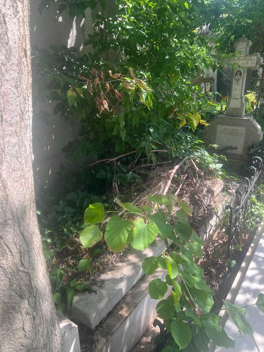 Vand urgent loc de veci in cimitirul Iancu Nou