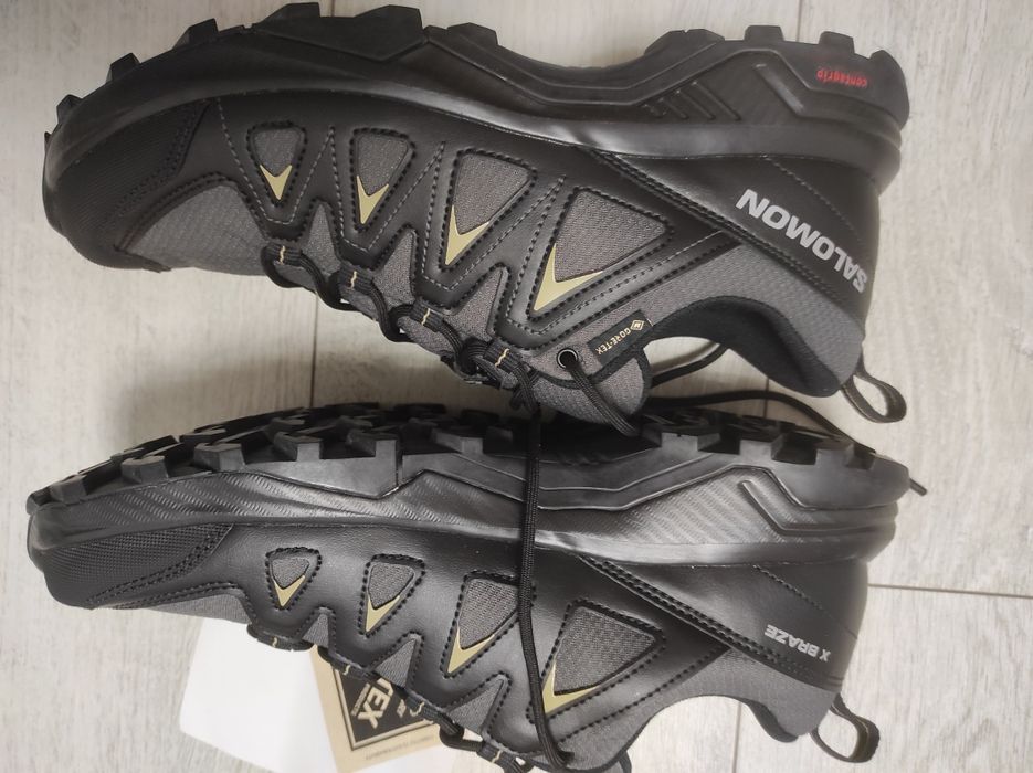 Salomon X Braze GTX
