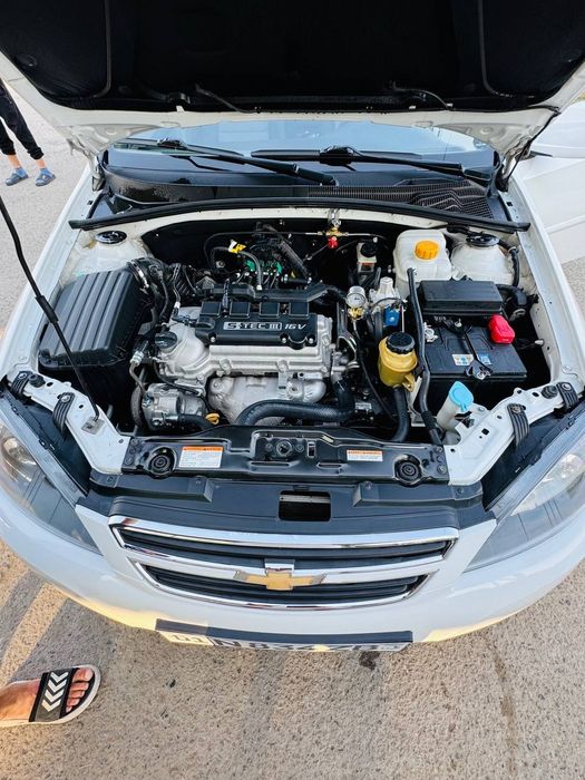 Jentra 2021 панорама лук