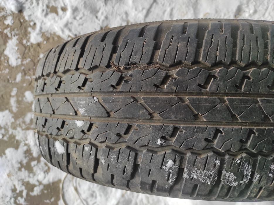 Продам 6 покрышек на 17