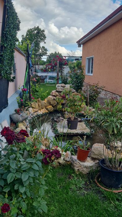 Vând casă  ciocarlia de jos