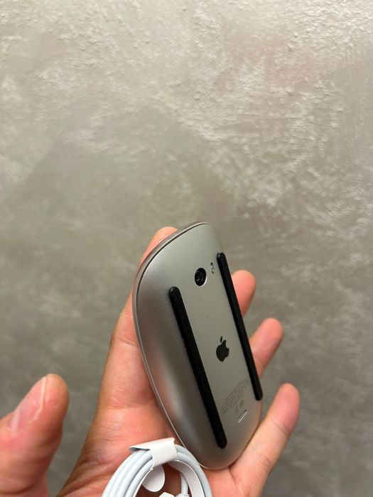 • Apple Magic Mouse 2 •