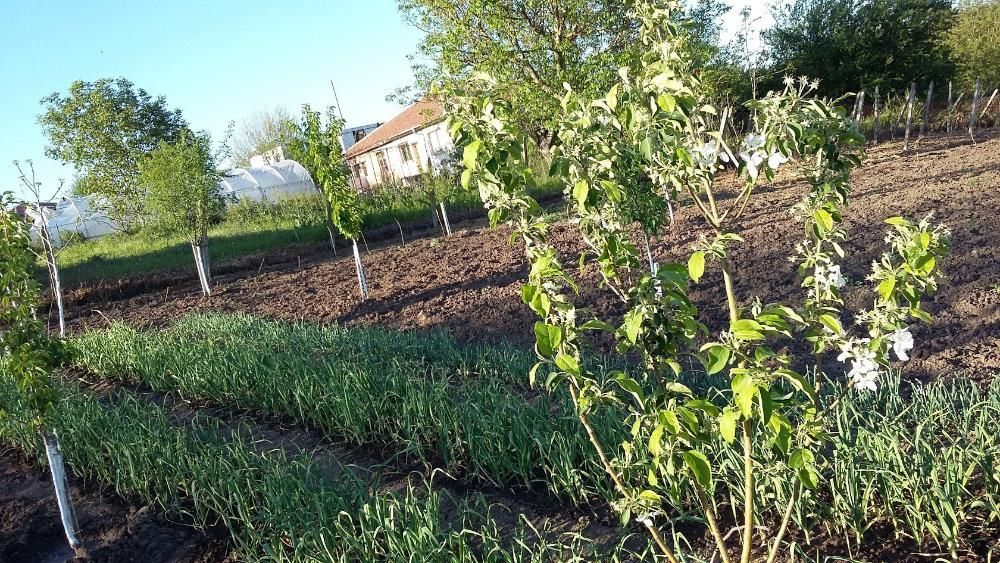 Продава се Къща в с. Черни връх, Област Бургас - 9 кв.м за 4111 €/кв.м - Снимка #10