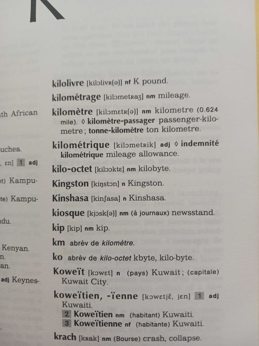 Dictionar francez englez management si juridic