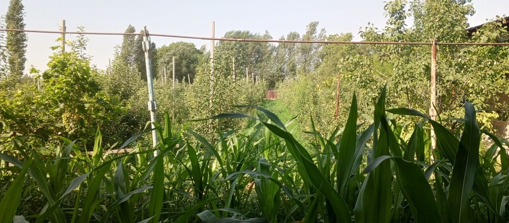 Продается участок - ферма