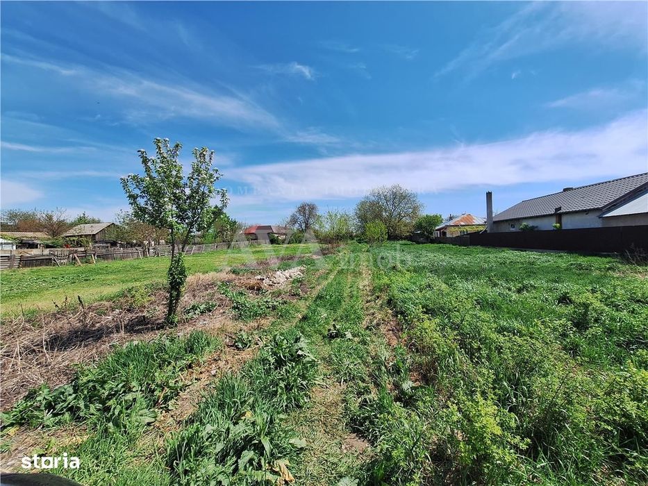 Teren intravilan 1180 mp, zona Saucesti