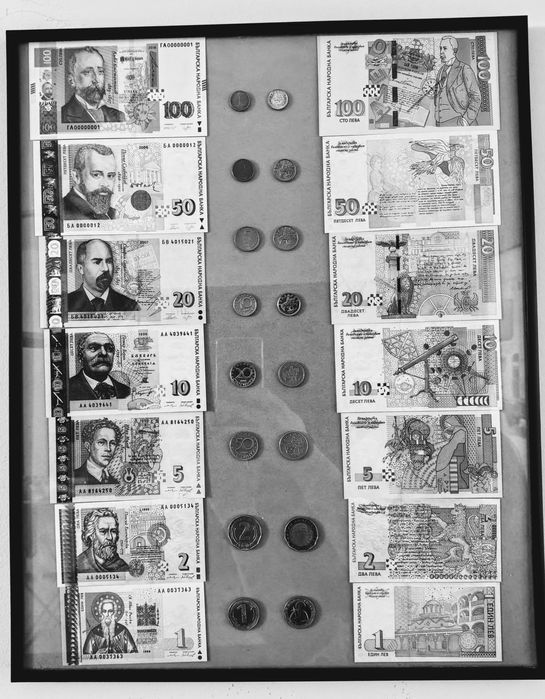 Рамка с колекция български левове