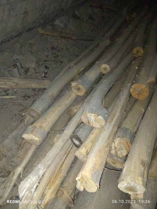 To'sin terak sotiladi