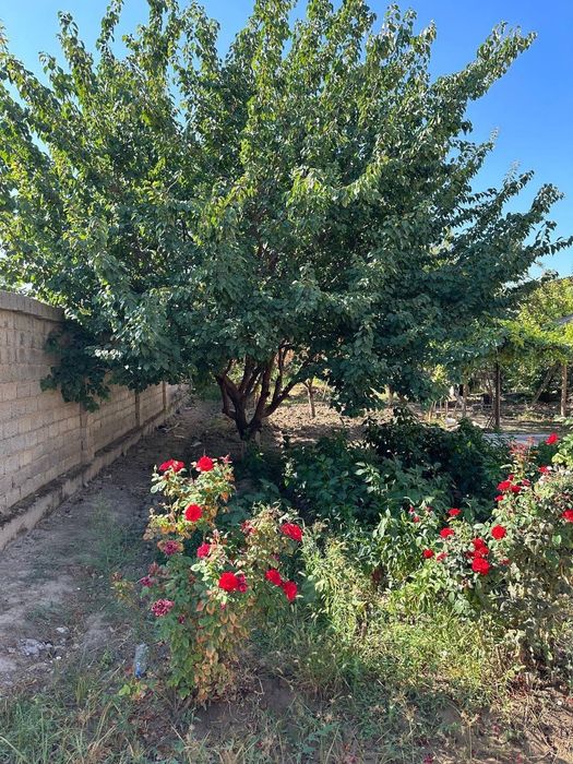 Участок 9 соток 5 комнаты (дом-коробка)