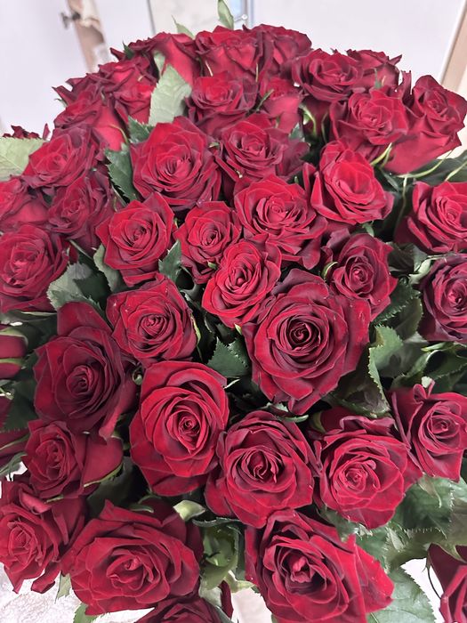 Продам букет 51 шт роз