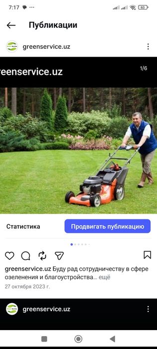 Посадка крупномеров деревьев и саженец