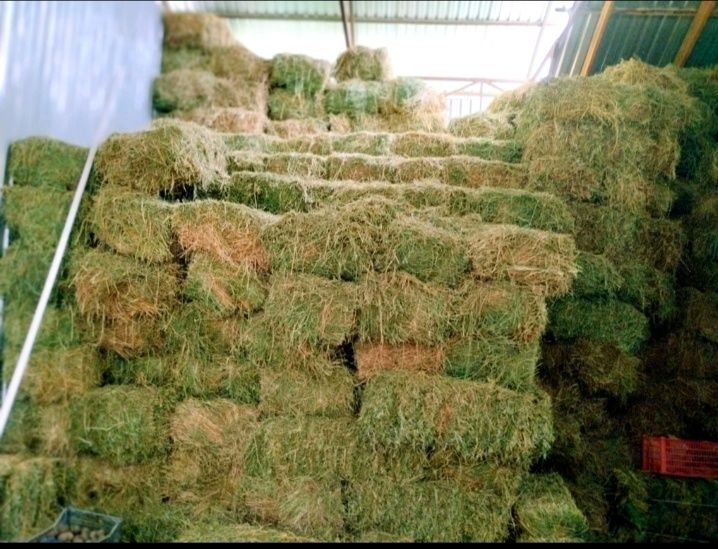 Beda press sotiladi  dostavka xizmati mavjud