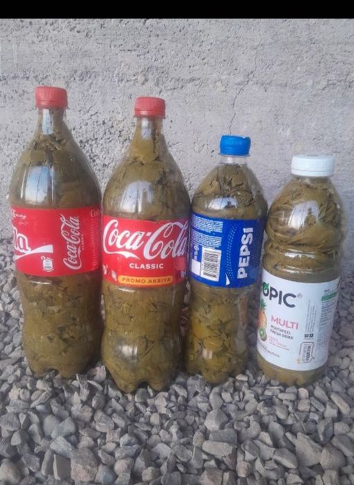 Tok bargi ток барги (Baklashkada)